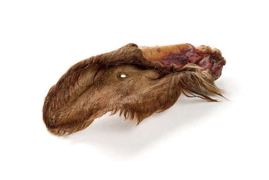 Goveja ušesa z dlako - 2 kosa