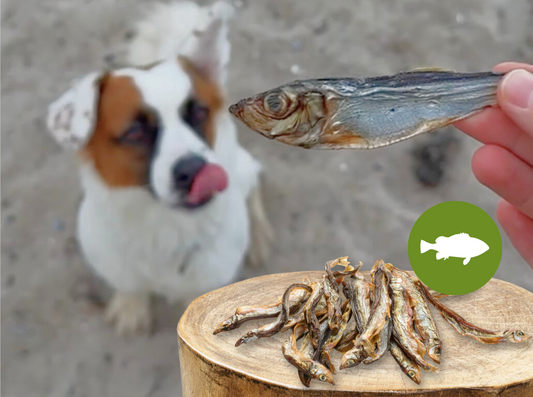 Sušeni kapelin - 100 g