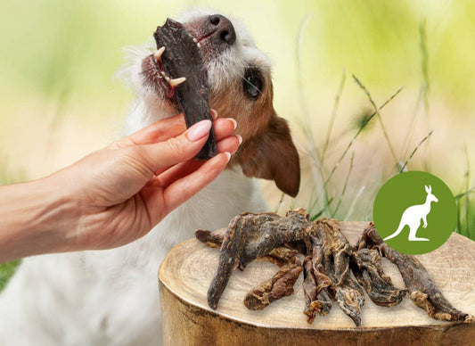 Sušeno kengurujevo meso - 100 g