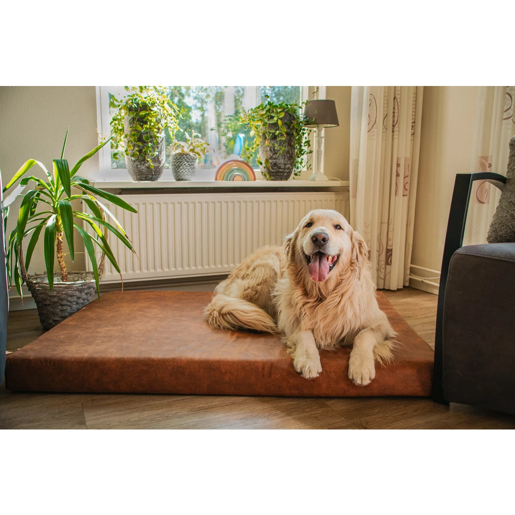 Let's Sleep Mellow Mattress ortopedska blazina za pse