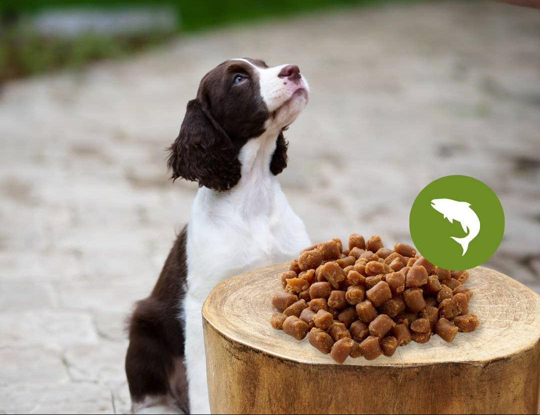 Mehki grižljaji z lososom in perutnino (primerno za mačke) - 100 g