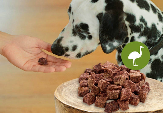 Nojeve kocke - 100 g