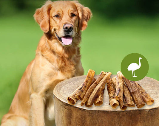 Nojevi sapniki - 250 g