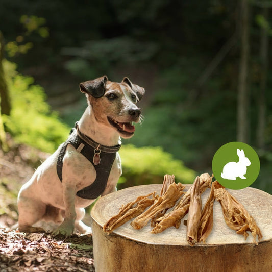 Rolana zajčja koža - 100 g