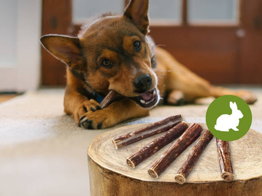 Zajčje rolice z govedino - 5 kosov