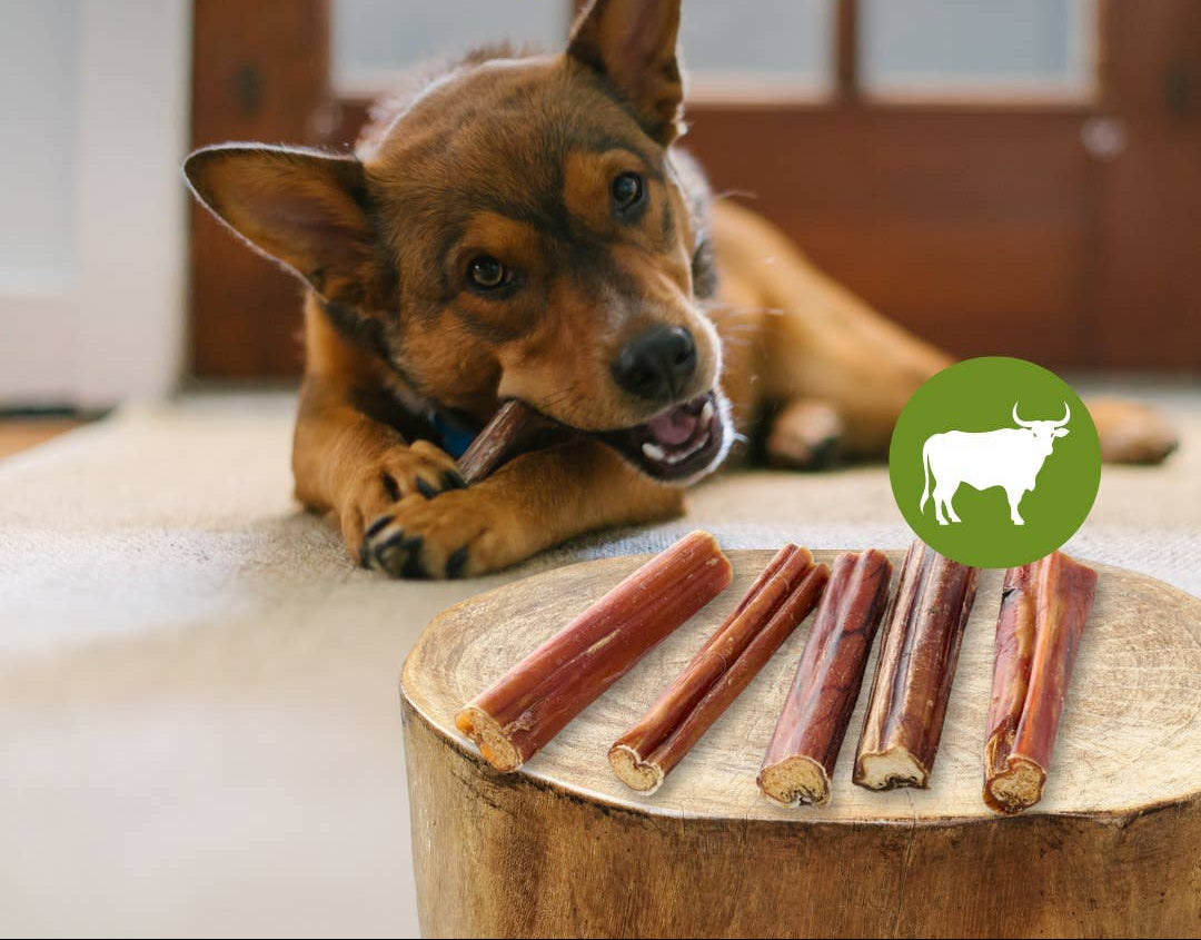 Bikovka premium kvaliteta - 250 g