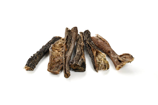 Kamelji vampi - 100 g