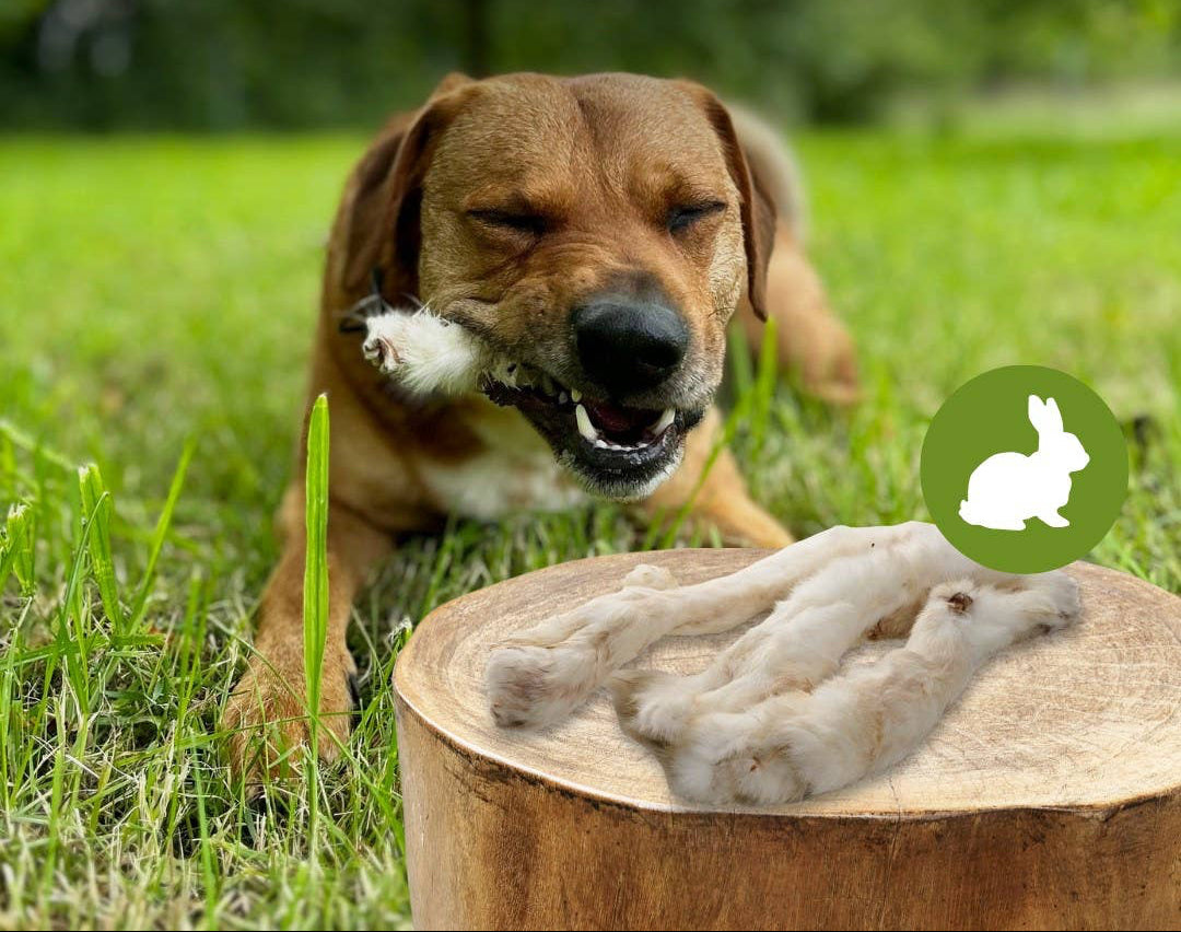 Trakovi zajčjega krzna - 250 g