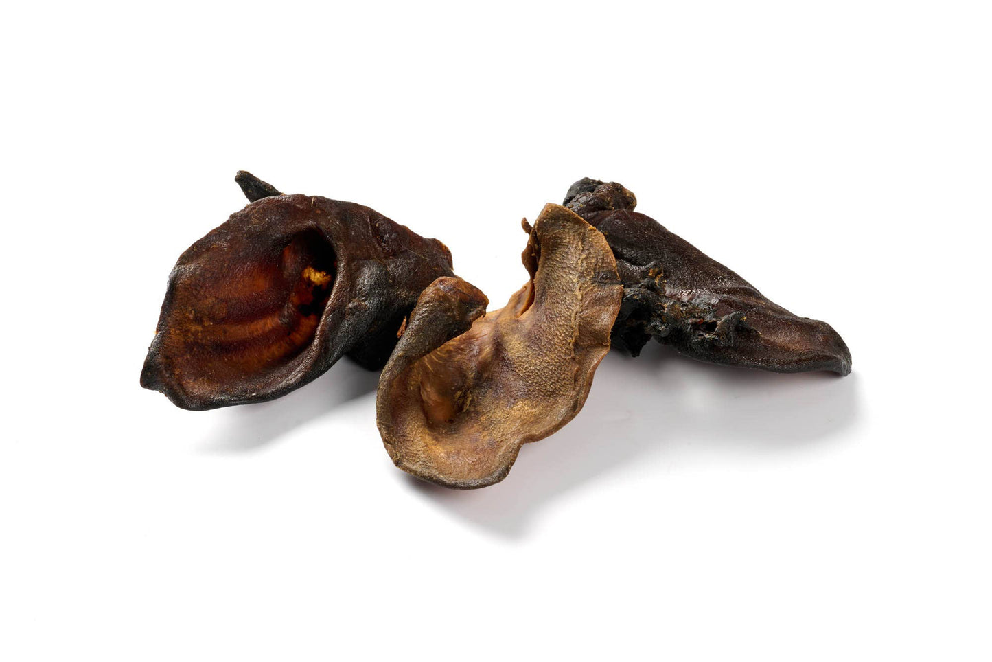 Uho divje svinje - 1 kos