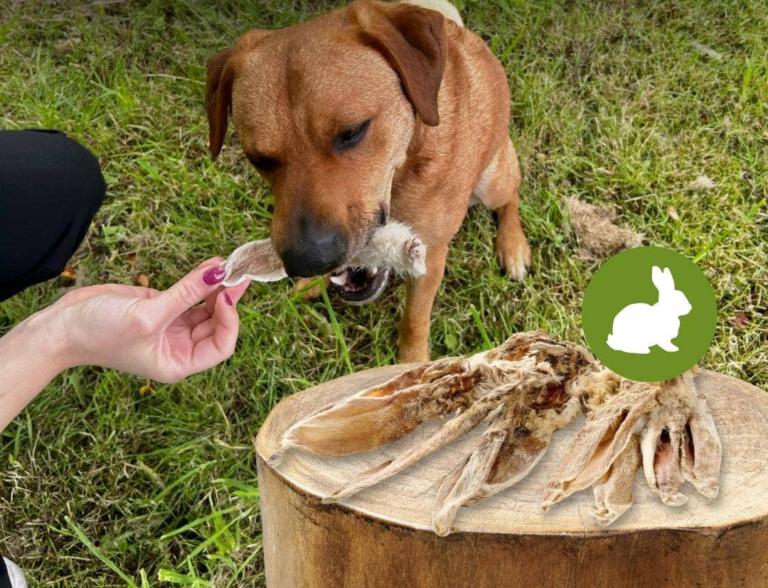 Zajčja ušesa z dlako - 250 g