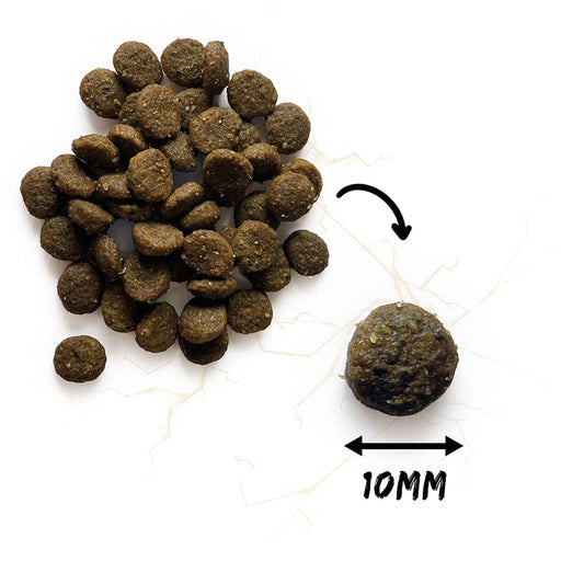 Natura Wild Little Creek Grain Free Puppy - 12 Kg (za mladiče)