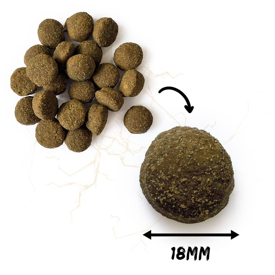 Natura Wild North Country Grain Free - 12 kg