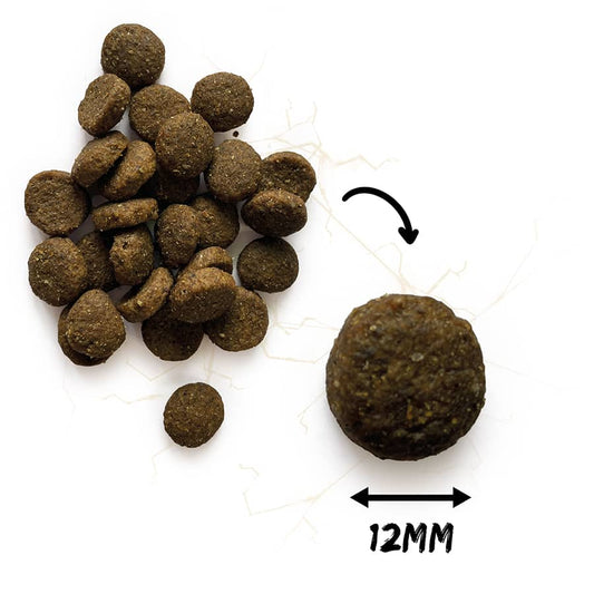 Natura Wild Ontario Wildland Grain Free - 12kg (hipoalergena)